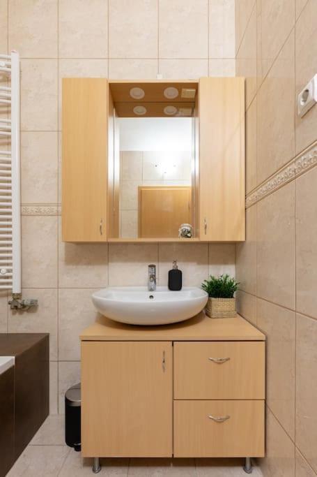 S22 Apartment Budapeşte Dış mekan fotoğraf